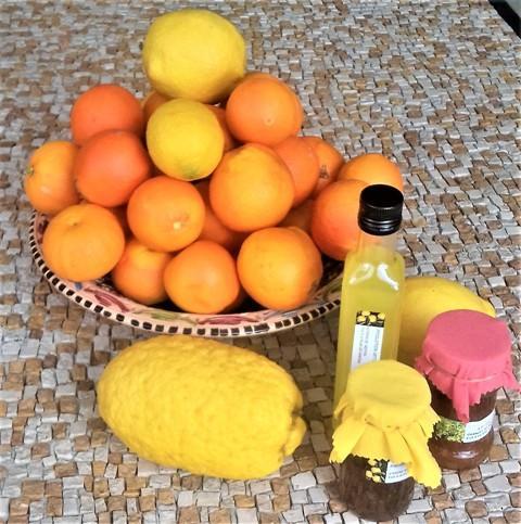 Les Mimosas Menton Bagian luar foto