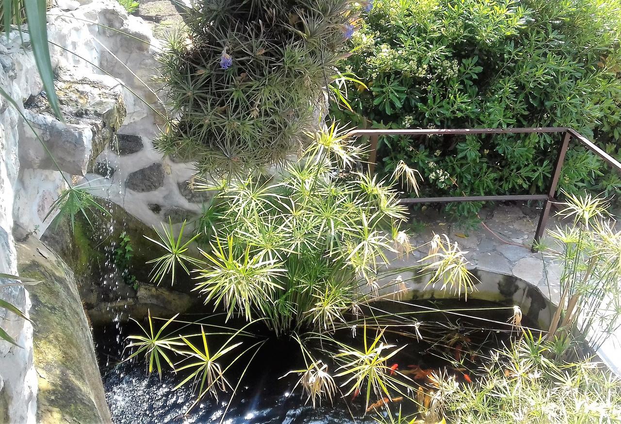 Les Mimosas Menton Bagian luar foto